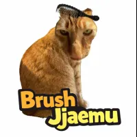 Brush Jjaemu