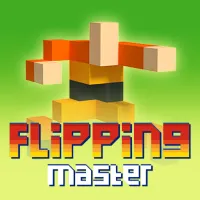 Flipping Master